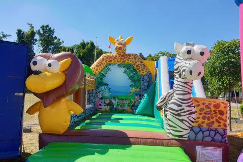 Bouncy Castles at Liepnitzsee